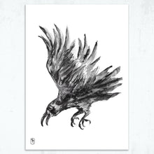 Load image into Gallery viewer, Crow Noir
