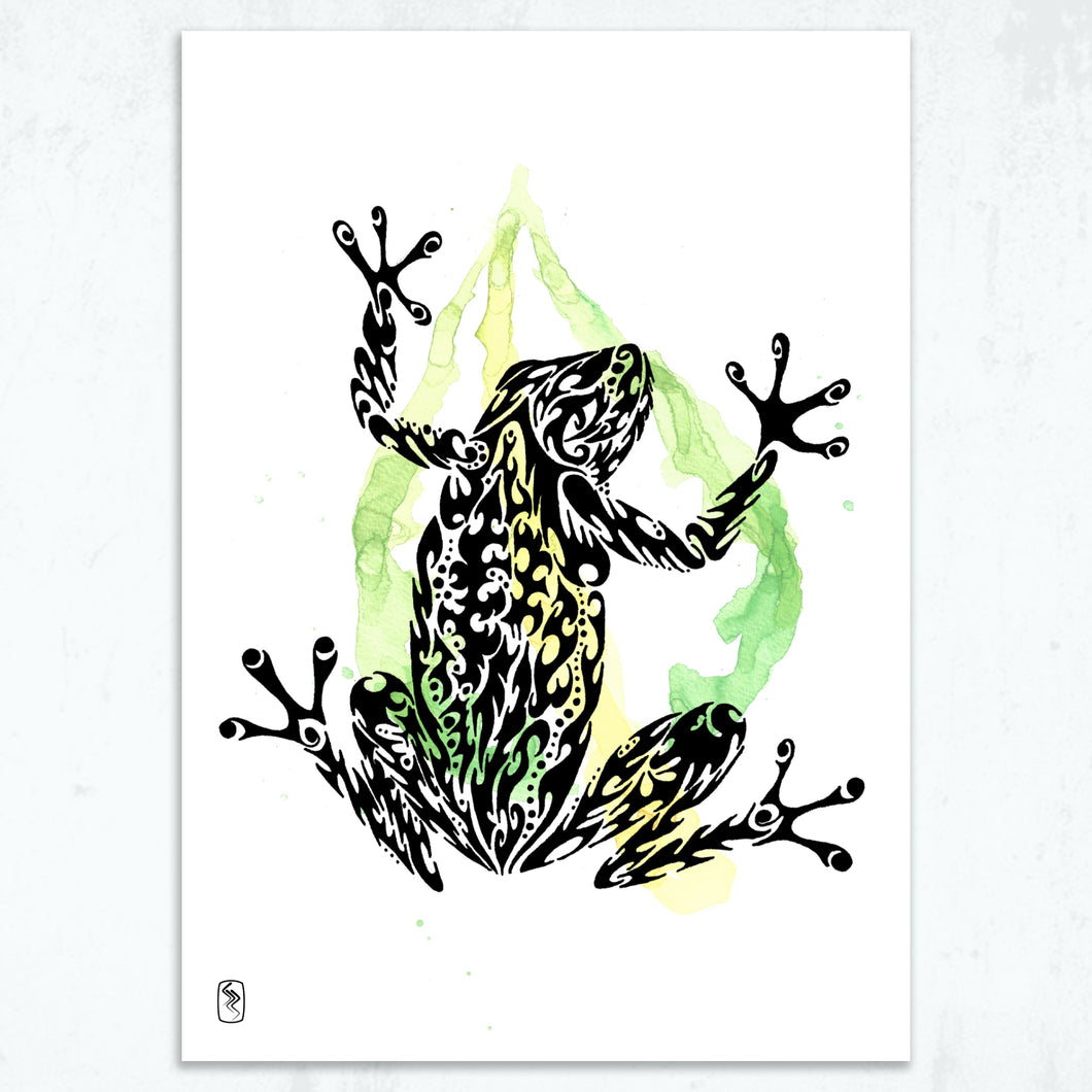 Tranquil Treefrog