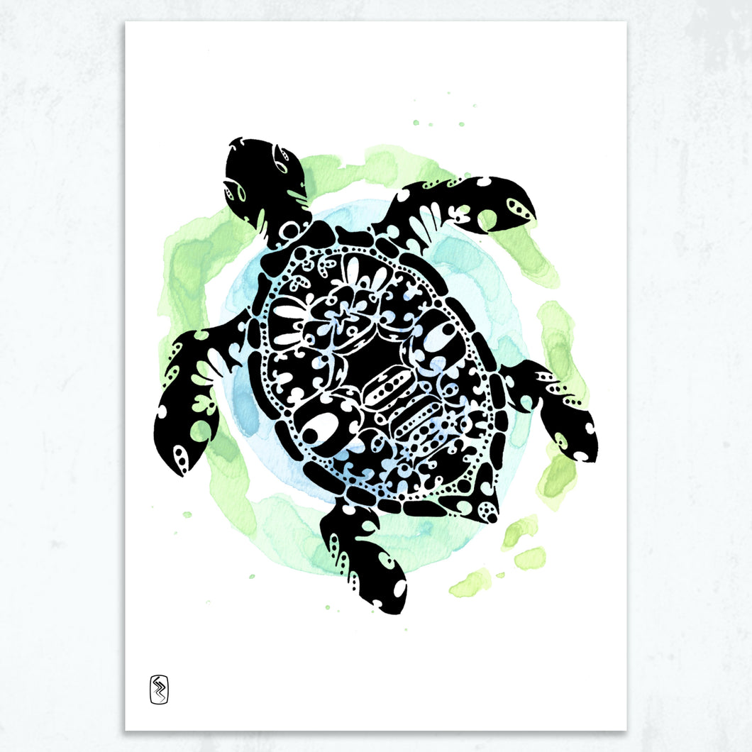 Tranquil Turtle